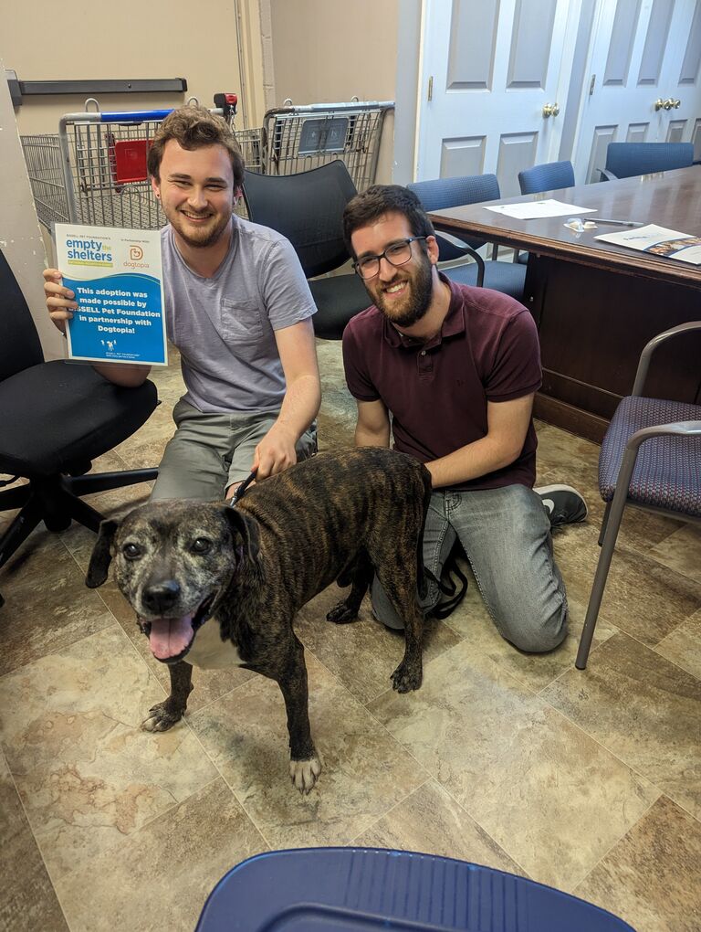 We adopted our dog, Rocky