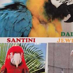 Linda The Parrot Lady, profile image