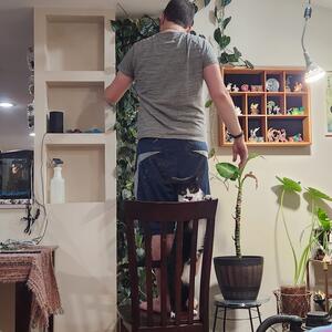 Gallery Photo 4