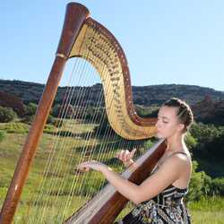 Professional Harpist, profile image