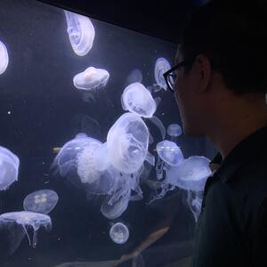 Gallery Photo 100