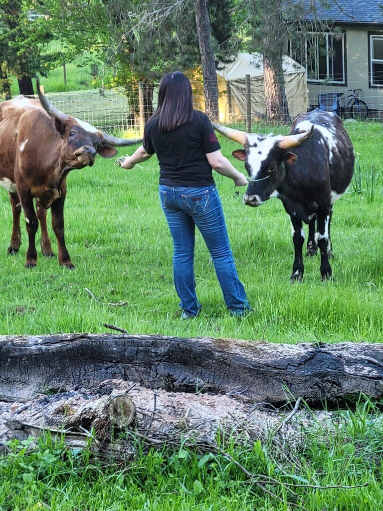 David wanted to raise long horn steers.