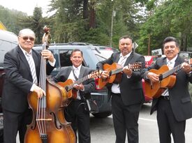 Trio Fiesta - Mariachi Band - Livermore, CA - Hero Gallery 1