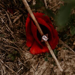 Gallery Photo 43