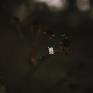 Gallery Photo 60