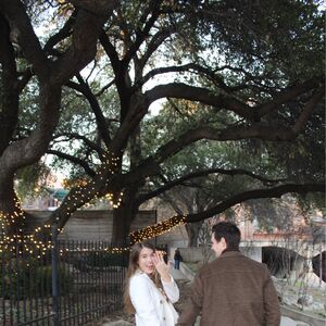 Gallery Photo 71