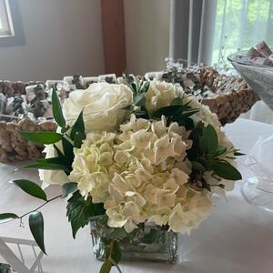 Gallery Photo 14
