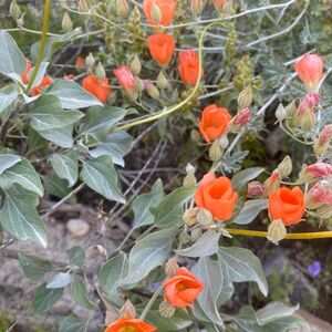 Gallery Photo 24