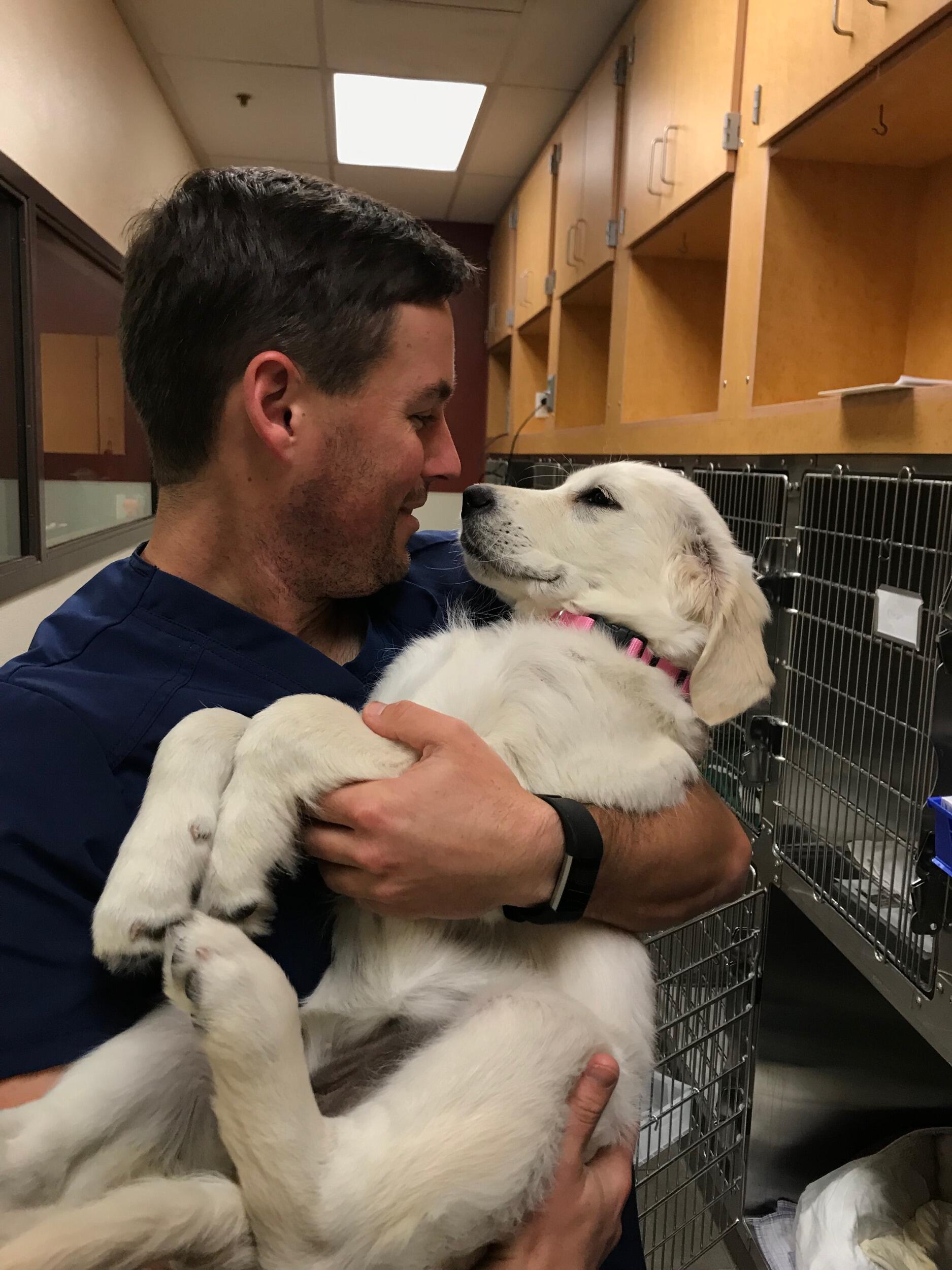 Matt was enjoying helping animals as a vet tech and I was super jealous.