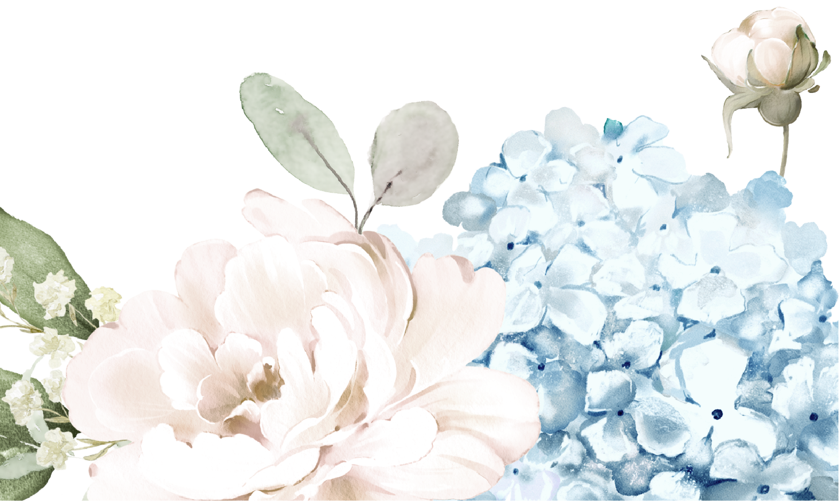 Bottom Theme Image