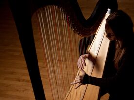 Laura Stoltzfus-Harpist, Pianist, and Vocalist - Harpist - Leola, PA - Hero Gallery 2