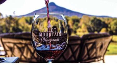 Outgoing Wine Flights - Catch Yours! - Mount Nittany Vineyard & Winery