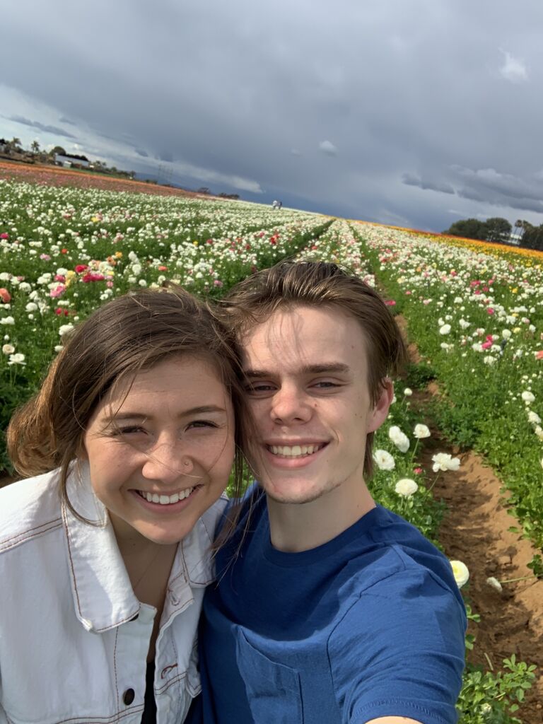 Flower Fields in Carlsbad, CA