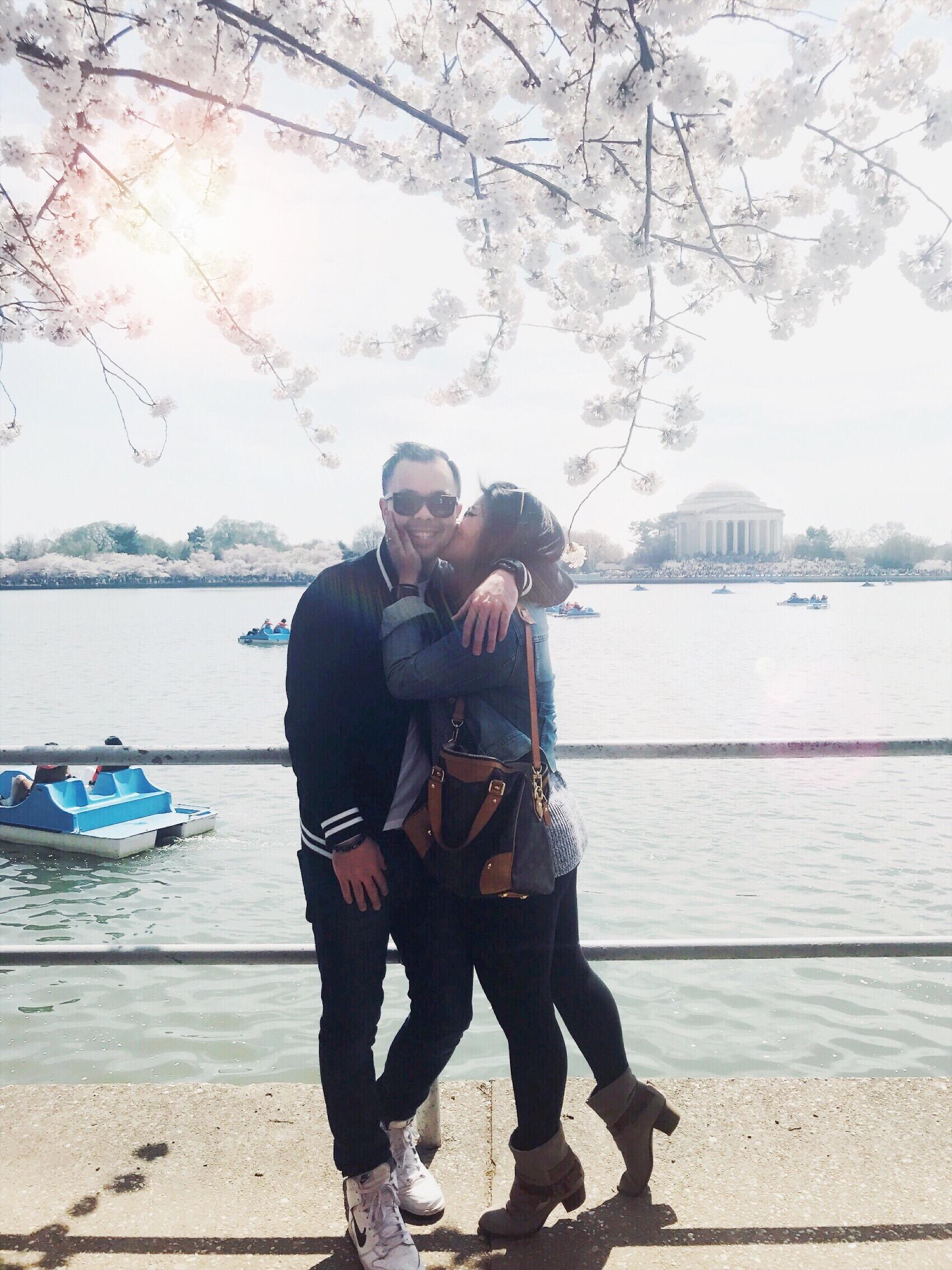 cherry blossom festival • washington, dc 