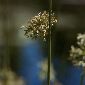 Gallery Photo 53