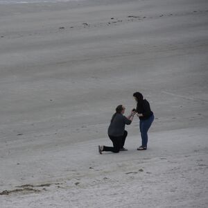 Gallery Photo 2