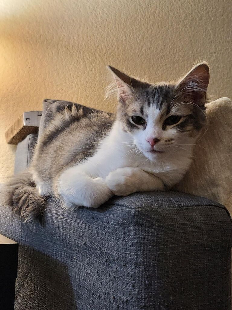 We welcomed Heva into our little family!