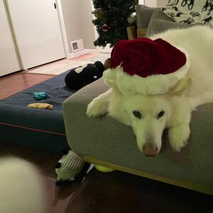 Gallery Photo 21