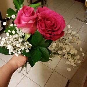Gallery Photo 24