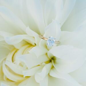 Gallery Photo 26