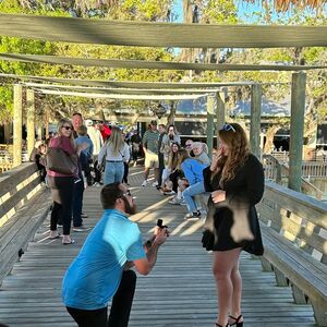 Gallery Photo 4