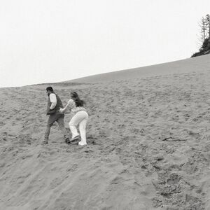 Gallery Photo 7