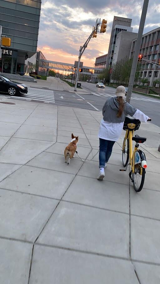 In preparation for moving in together later in the year, Taylor (and Sammie) took many trips down to Indianapolis to see Tabby!