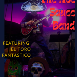 Hot Sauce Band and El Toro Fantastico, profile image