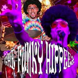 The Funky Hippeez, profile image