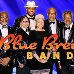 Blue Breeze Band (Best Motown R&B Soul & New Hits), profile image