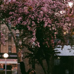 Gallery Photo 6