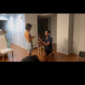 Gallery Photo 18