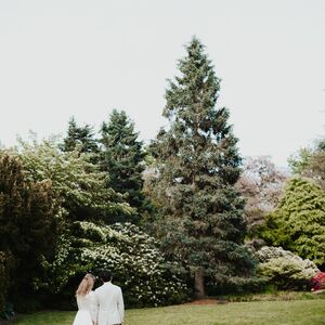 Gallery Photo 5
