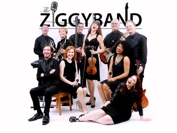 THE ZIGGY BAND - Dance Band - Houston, TX - Hero Main