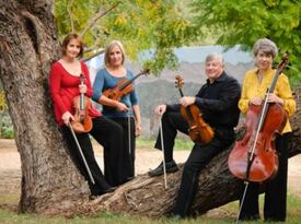 CELEBRATION STRINGS AZ - String Quartet - Scottsdale, AZ - Hero Gallery 1