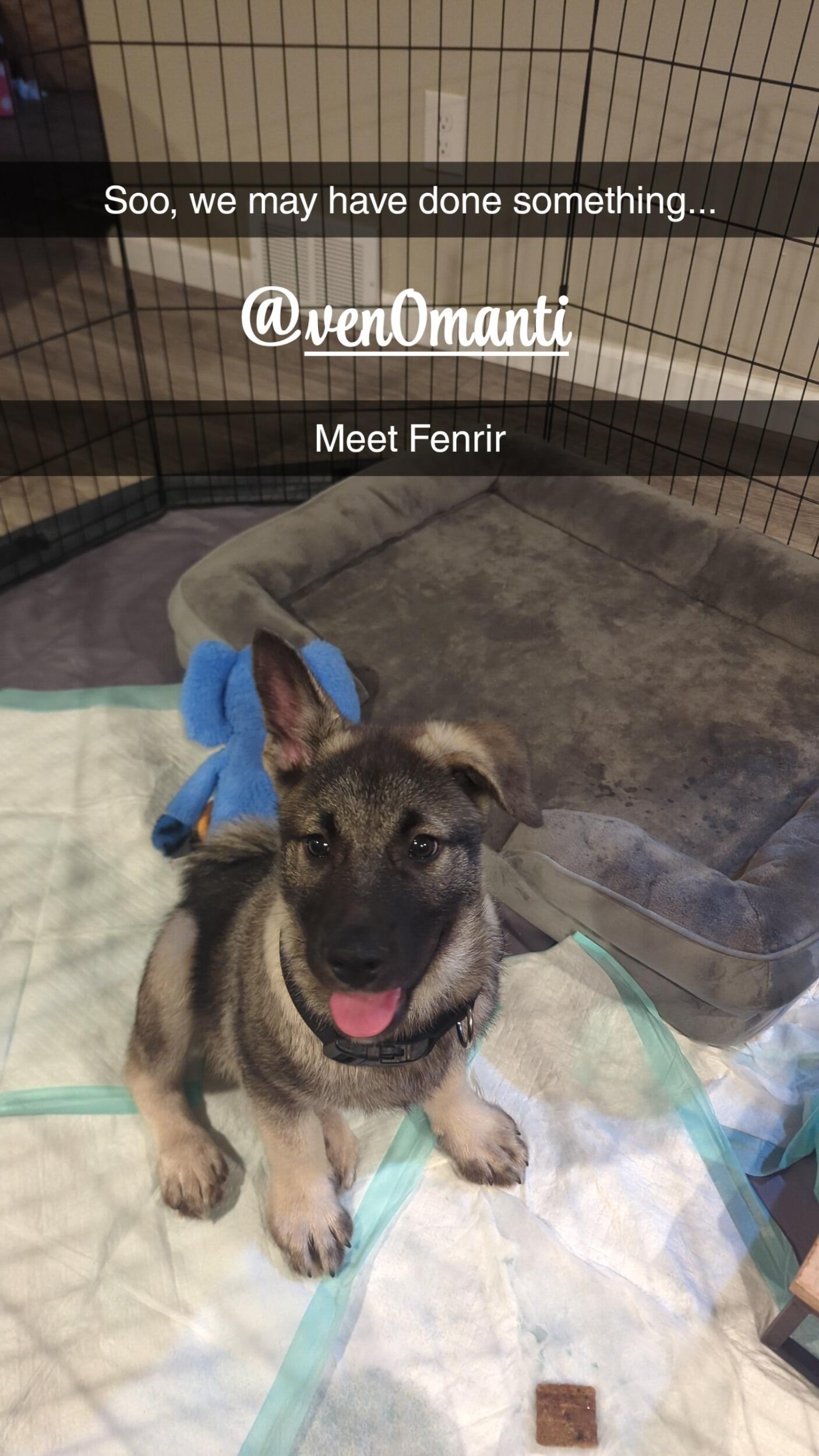 Fenrir
Pittsburgh, PA