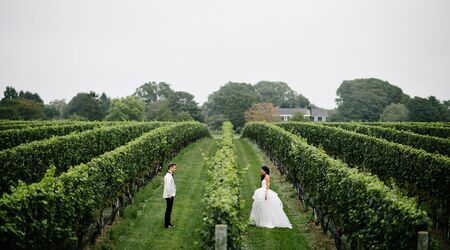 Wolffer Estate Vineyard Reception Venues The Knot