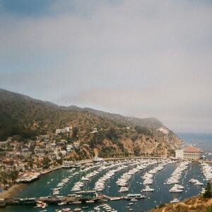 Gallery Photo 175