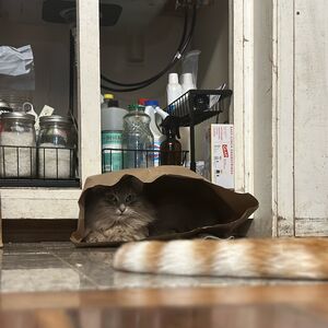 Gallery Photo 15