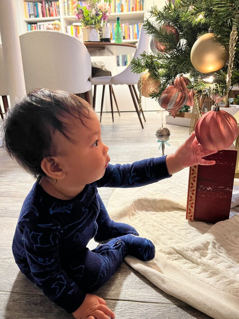 Othello's first Christmas tree!