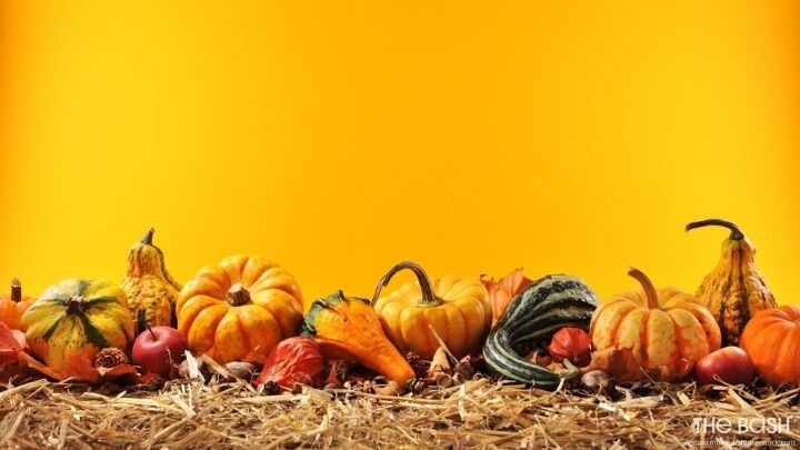 Thanksgiving Zoom Background