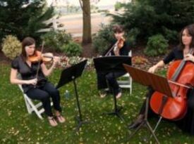 Arcobaleno Strings - String Quartet - Tacoma, WA - Hero Gallery 4
