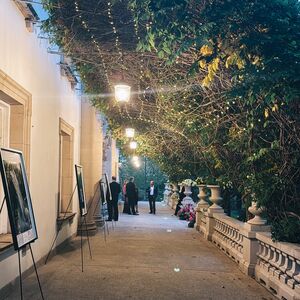 Gallery Photo 56
