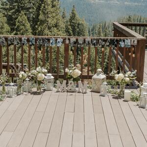 Gallery Photo 12