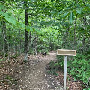 Gallery Photo 43