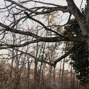 Gallery Photo 38