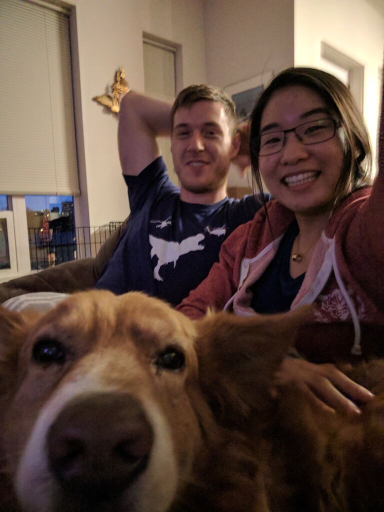 Copper is adopted into the family. He is an old mutt with the best ears and tail you will ever see on a dog.