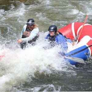 Gallery Photo 8