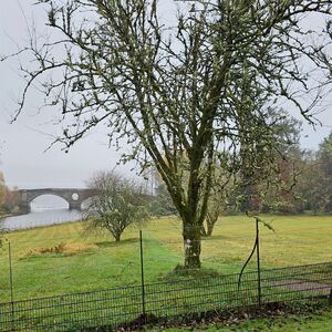 Gallery Photo 207