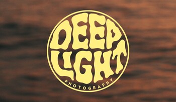 Vendor Logo